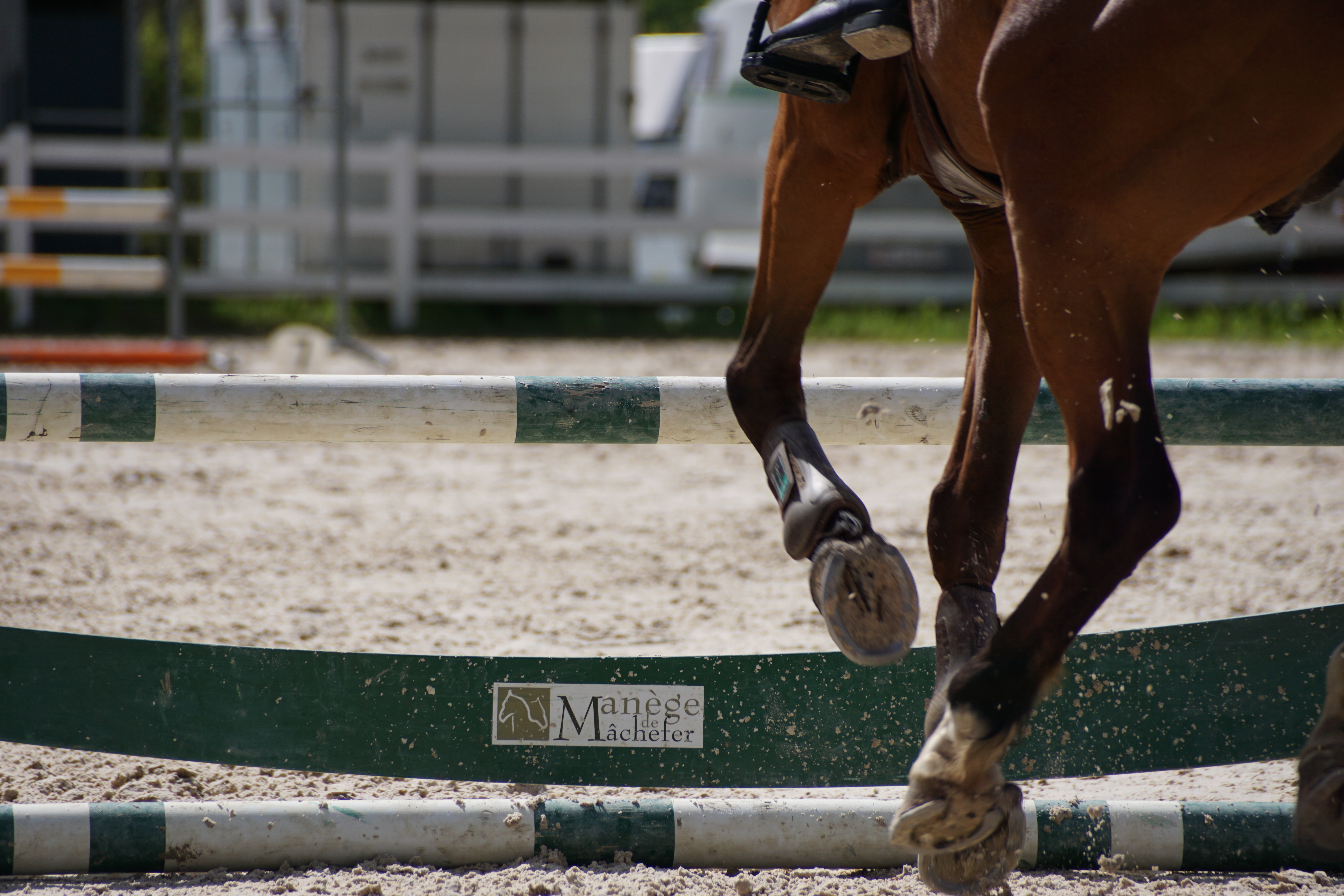 Poney
