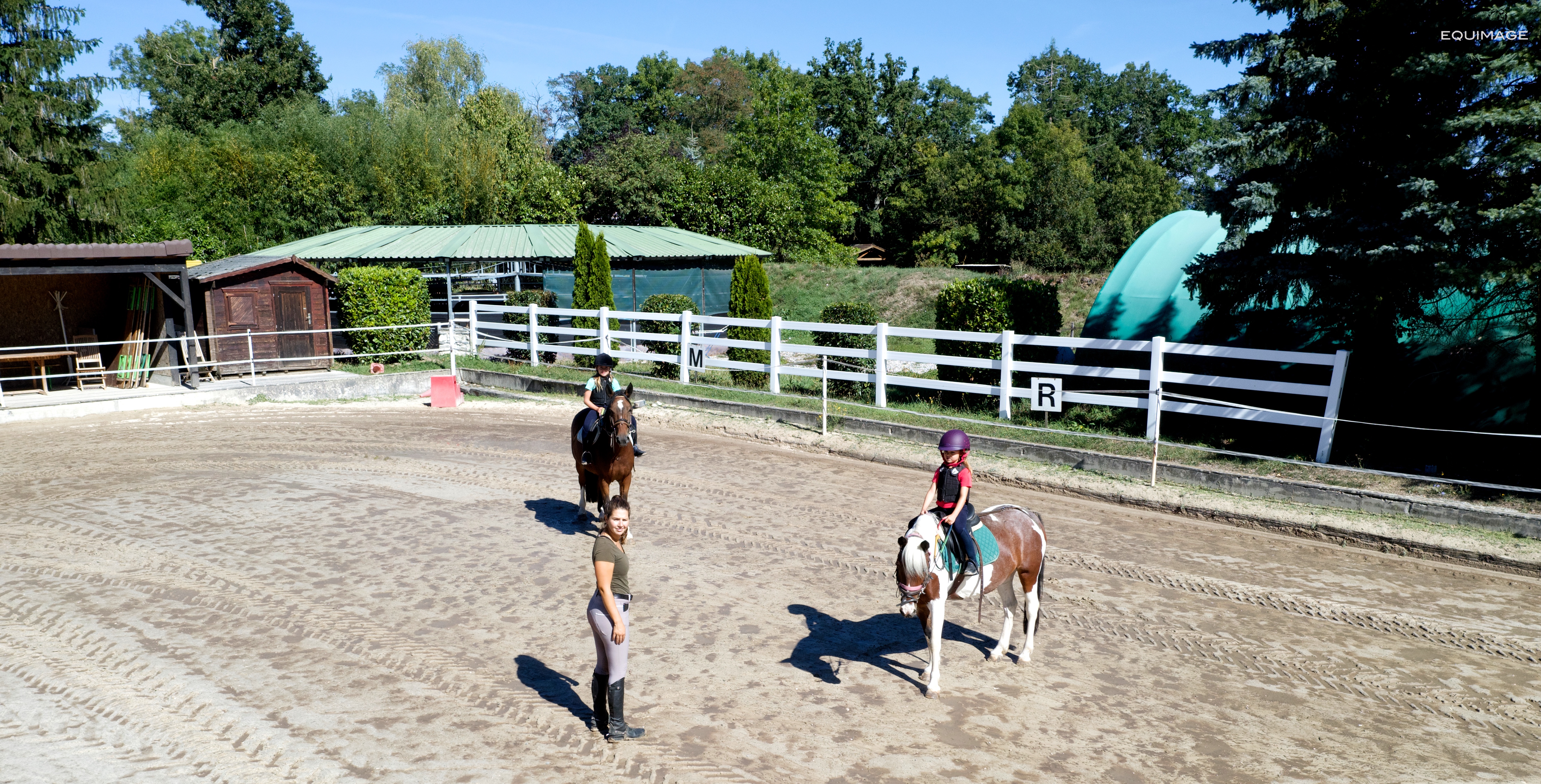 Poney